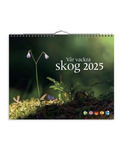 Väggkalender Vår vackra skog 2025