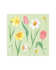 Servett DUNI Melody 3-lag 33x33cm 50/fp