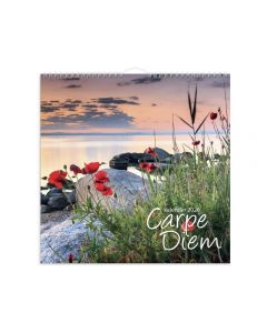 Väggkalender Carpe Diem 2026