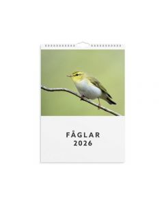 Väggkalender 2026 Fåglar