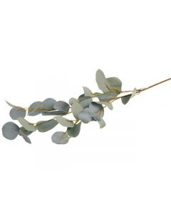 Dekorationskvist Eucalyptus 90cm