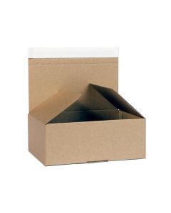 asset.7614185.jpg