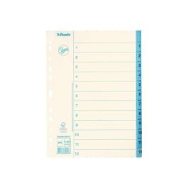 Pappregister JOPA A4 1-12 vit/blå
