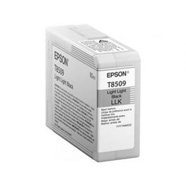 Bläckpatron EPSON T850900 l-l-svart