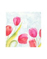 Servetter Tulips 3-lags 40x40cm 250/fp