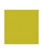 Servett DUNI 1-lags 33x33cm Kiwi 500/FP