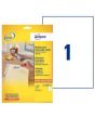Etikett AVERY Avtagbar 210x297mm 30/FP