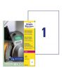 Etikett AVERY H/DUTY LAB 210x297mm 50/FP