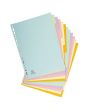 Pappersregister EXACOMPTA Forever A4 12-del