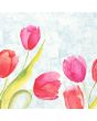 Servetter Tulips 3-lags 40x40cm 250/fp