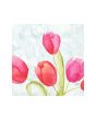 Servetter Tulips 3-lags 33x33cm 50/fp