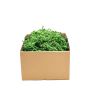 Crinkle craft ljusgröna pappersstrimlor 1kg