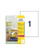 Etikett Avtagbar stark 210x297mm 20/FP
