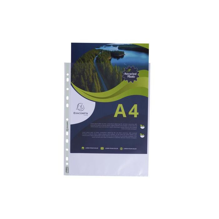 asset.10191046.jpg