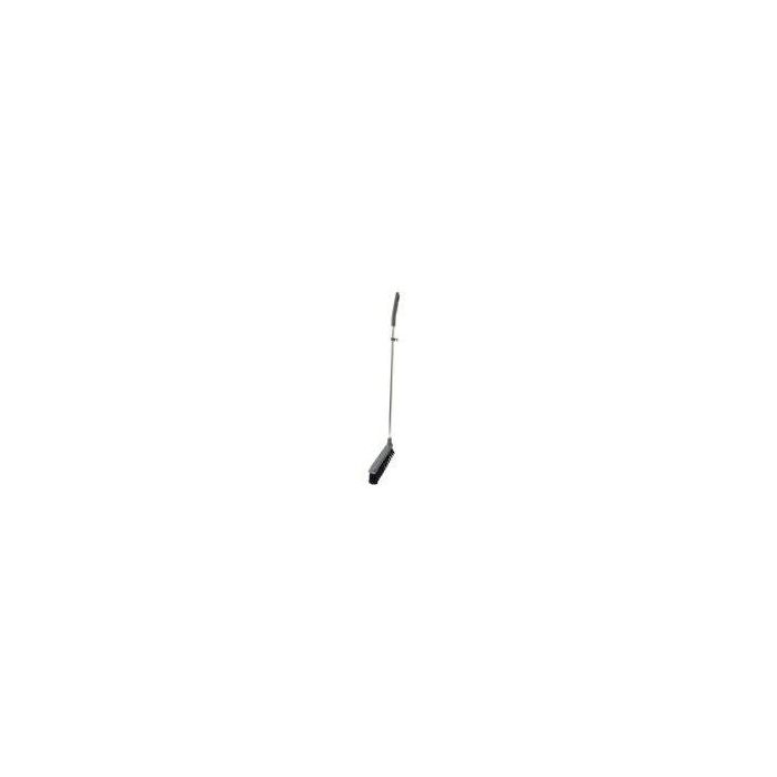 asset.10810983.jpg