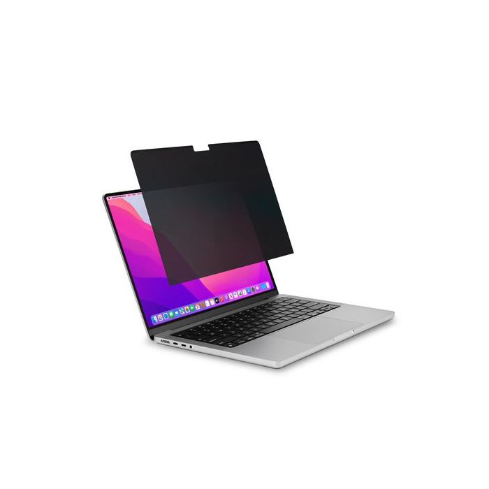 asset.11023668.jpg