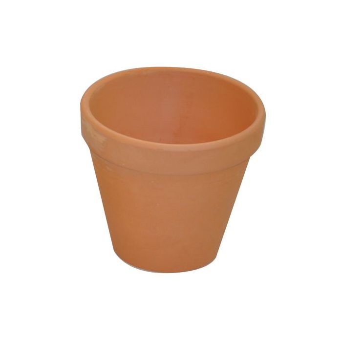 asset.11023772.jpg