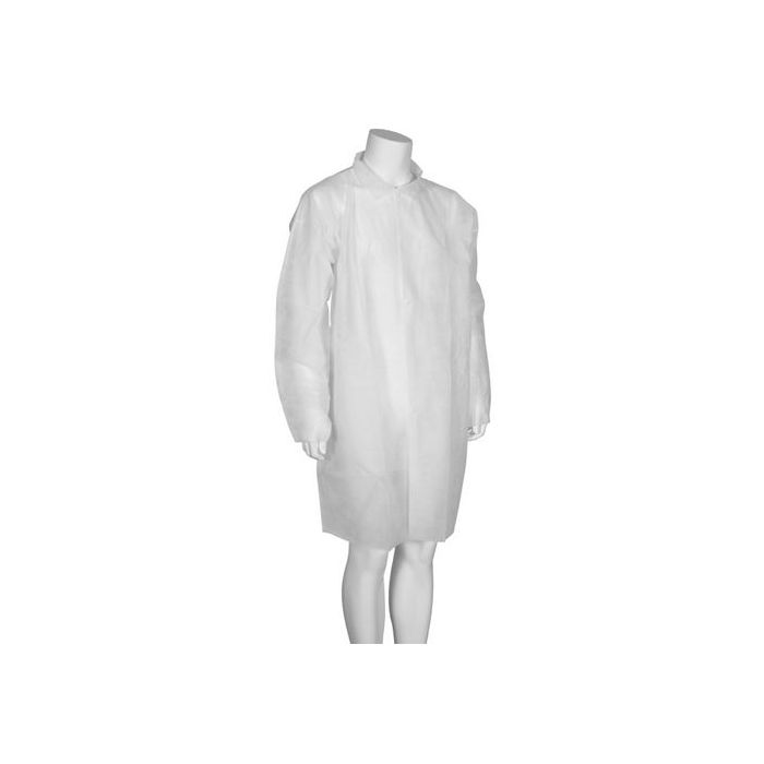 asset.11044108.jpg