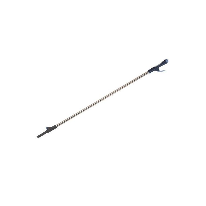 asset.11147037.jpg