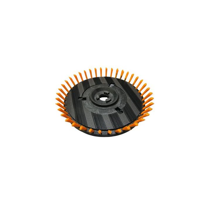 asset.11153532.jpg