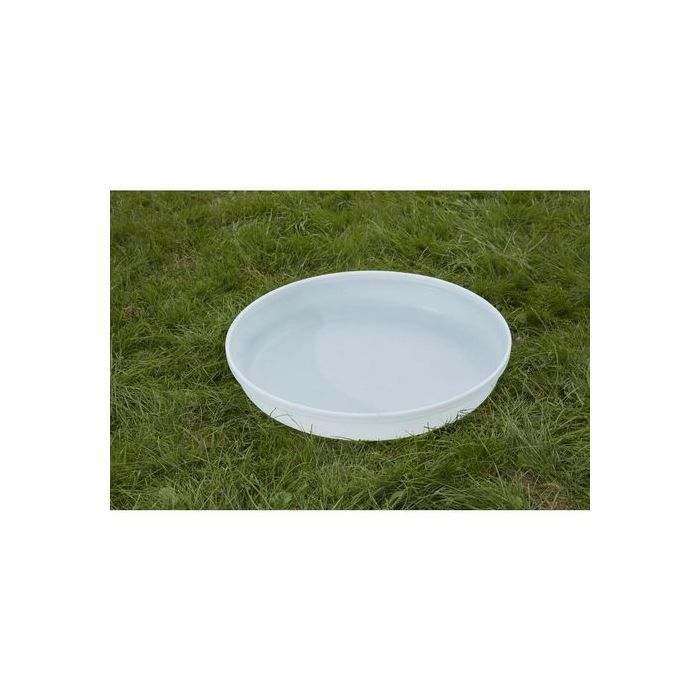 asset.11206473.jpg