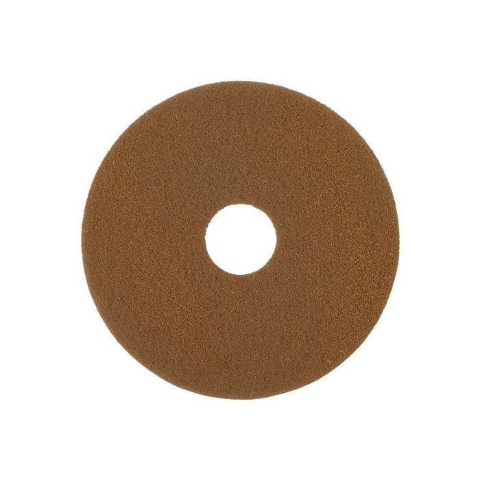 asset.270224.jpg