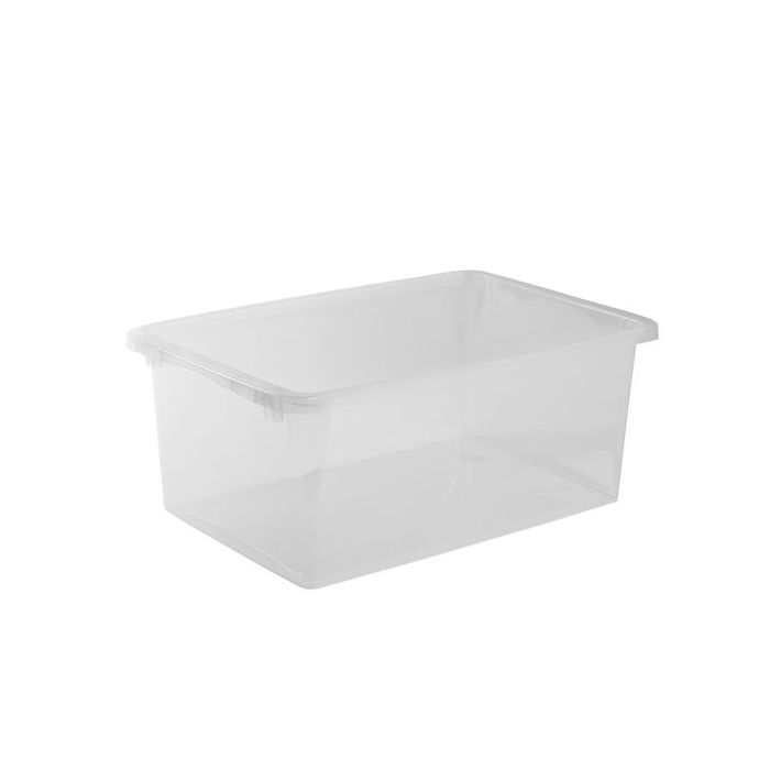 asset.705281.jpg