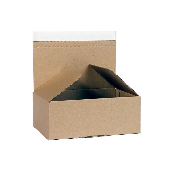 asset.7614185.jpg