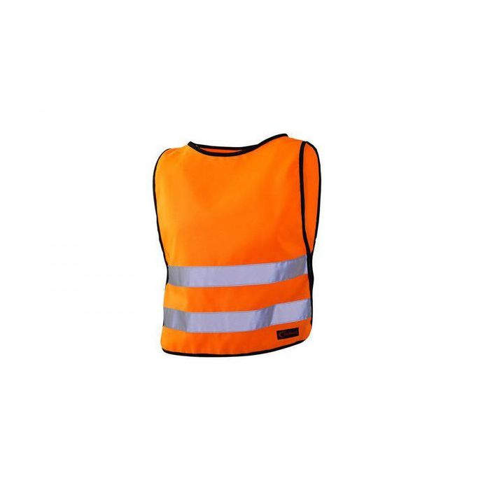 asset.8077635.jpg