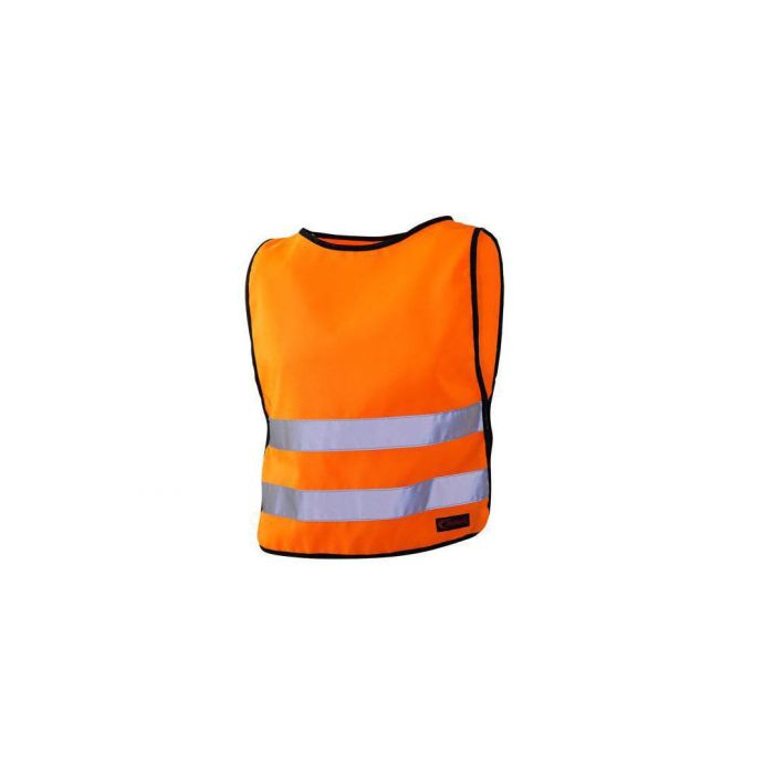 asset.8077635.jpg