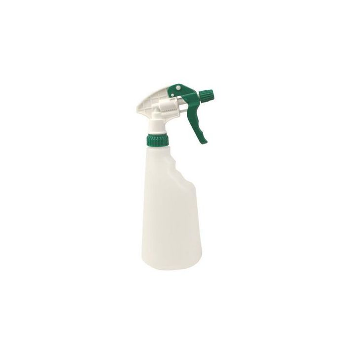 asset.8129625.jpg